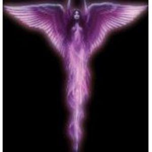 Meet your Posher, Penny